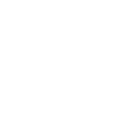 shatagon fleet logo